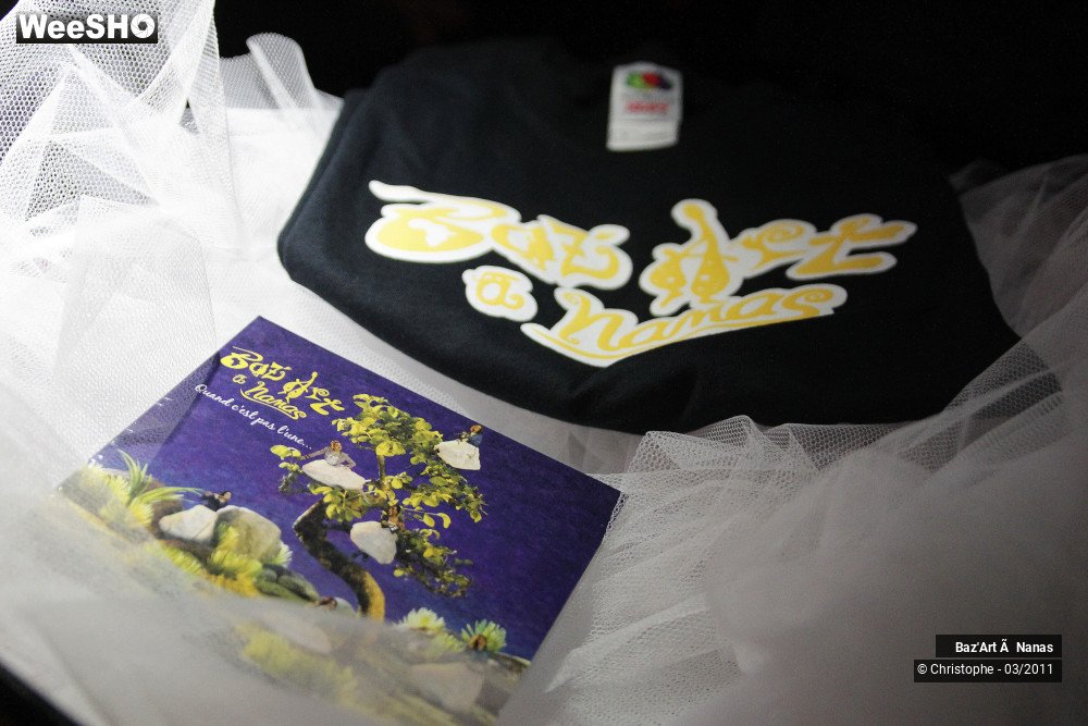 6/41 photos du spectacle Baz'art à Nanas